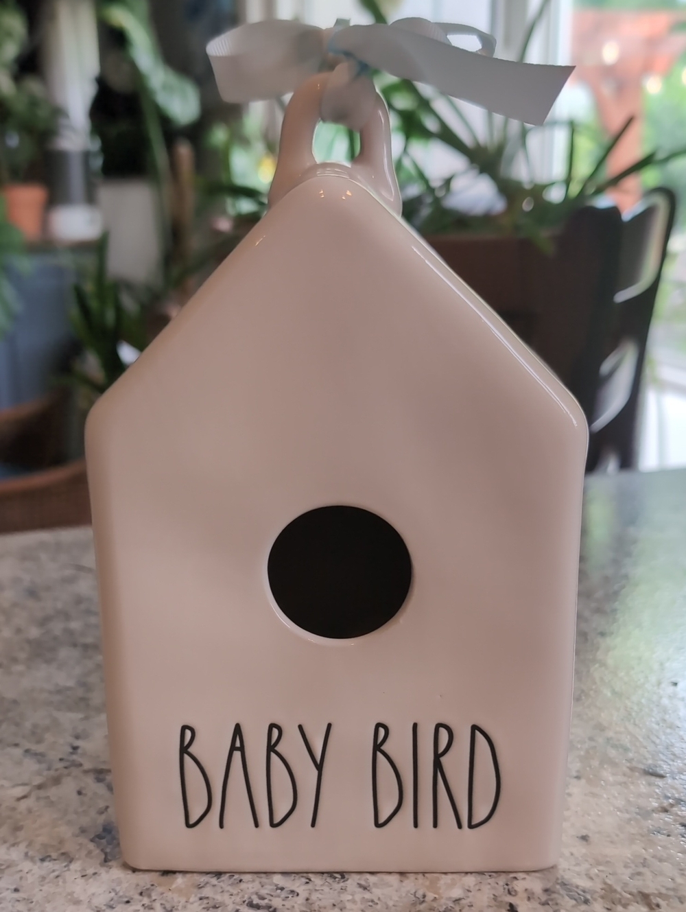 Rae DunN Baby Bird Ceramic Birdhouse - White